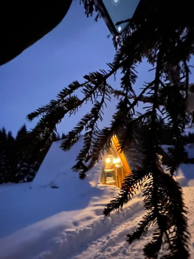 Rajska Suma Villa Žabljak Eksteriør billede